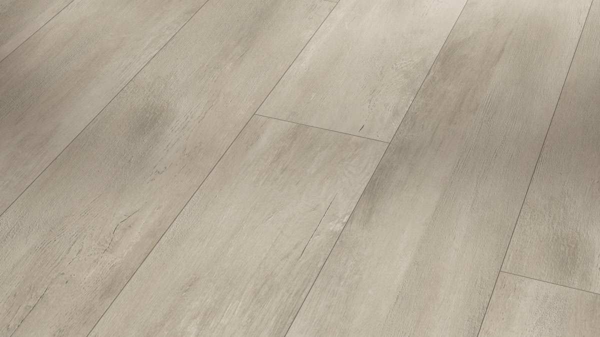 Parador Designboden Modular ONE Fusion grey Zoom Parador Designboden Modular ONE Fusion grey Zoom