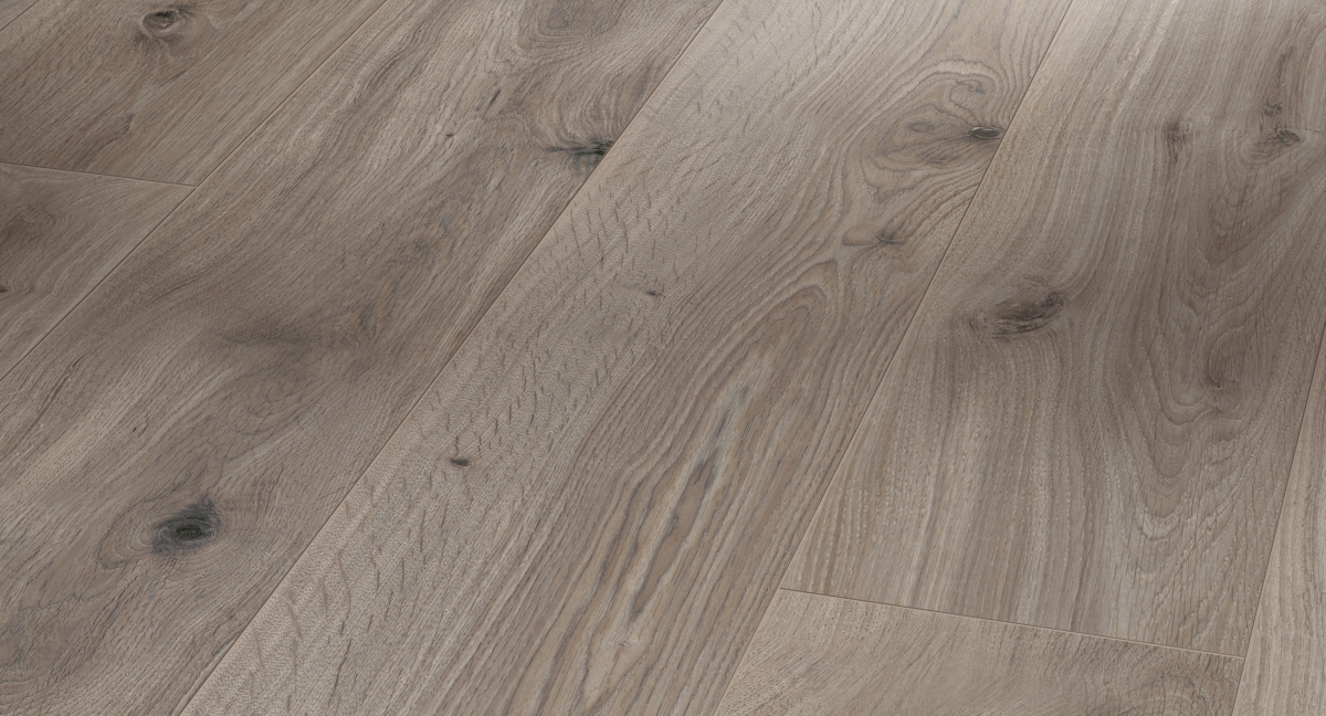 Parador Laminat Basic 600 Eiche Basalt Grau Zoom