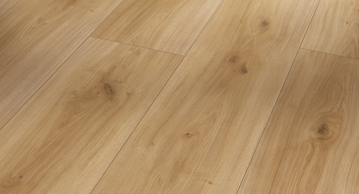 Parador Laminat Basic 600 Eiche Horizont Natur Zoom