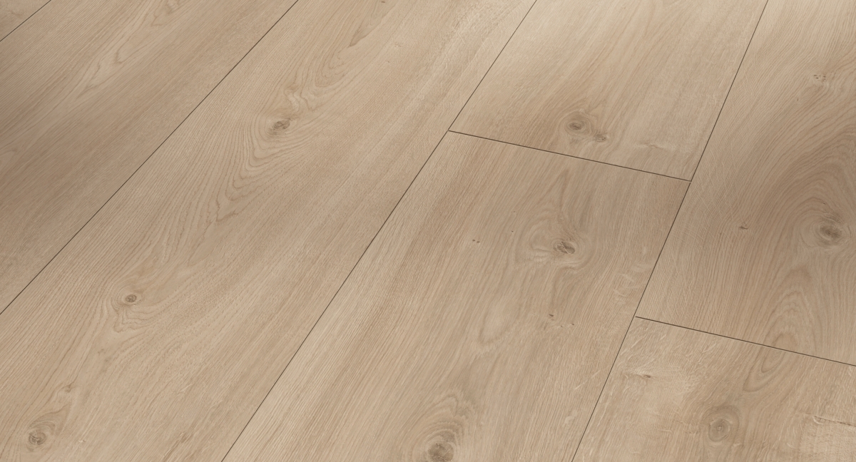 Parador Laminat Basic 600 Eiche Avant Geschliffen Zoom
