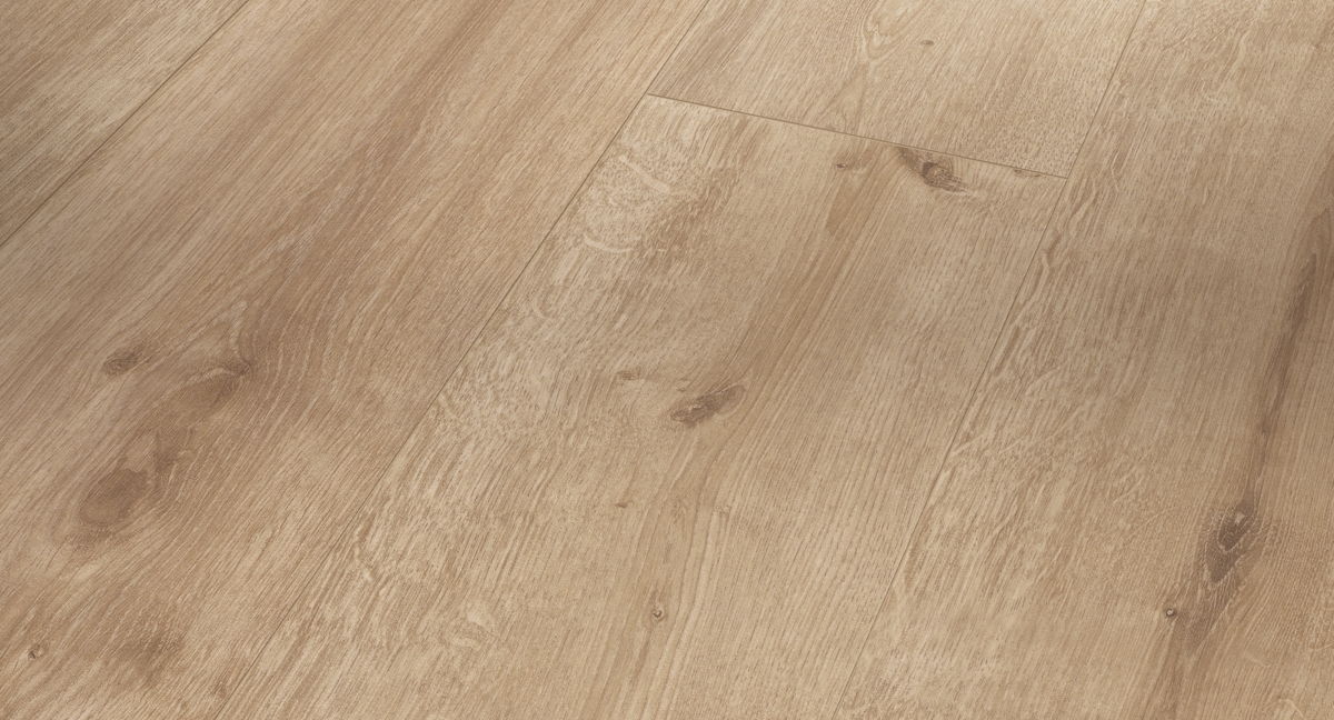 Parador Laminat Basic 600 Eiche Geschliffen Zoom