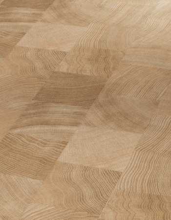 Parador Laminat Classic 1050 Eiche Natur Hirnholz Thumbnail