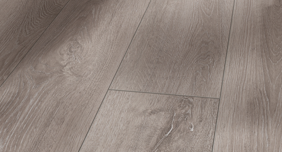 Parador Laminat Trendtime 6 Eiche Lichtgrau Zoom
