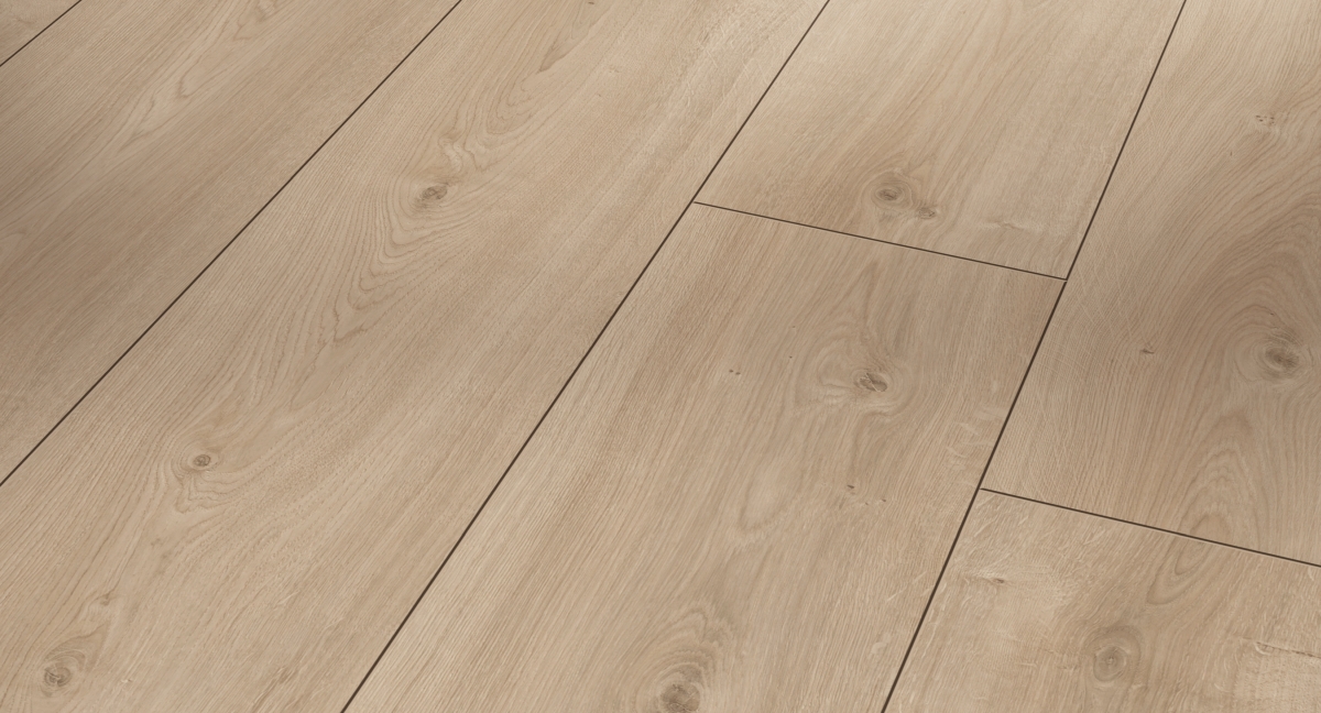 Parador Laminat Trendtime 6 Eiche Avant Geschliffen Zoom