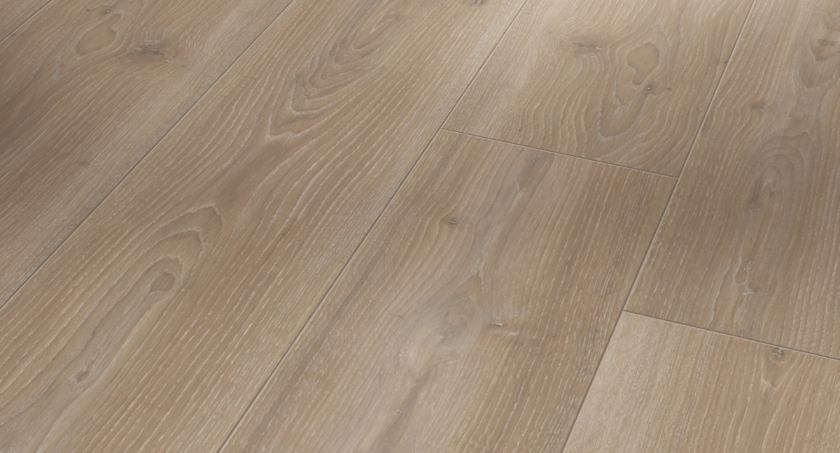 Parador Laminat Trendtime 6 Eiche Skyline perlgrau Zoom