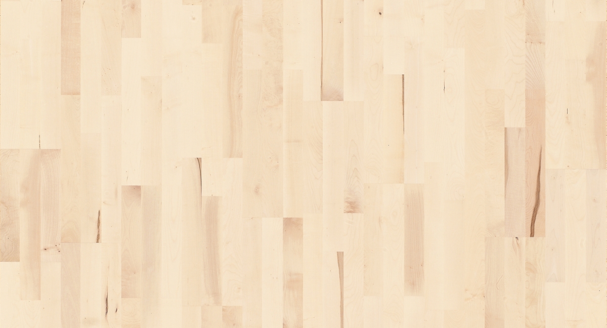 Parador Parkett Basic 11-5 Bergahorn Weiß Zoom