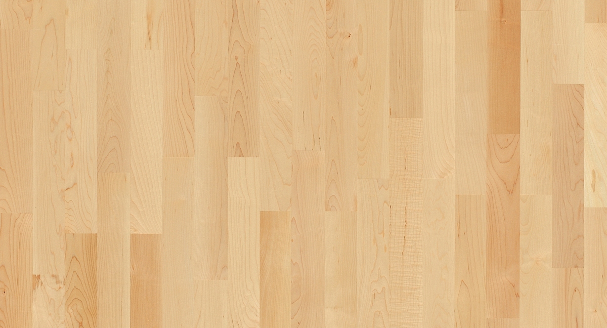 Parador Parkett Basic 11-5 Ahorn Kanadisch Zoom