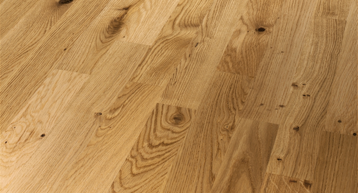 Parador Parkett Basic 11-5 Eiche Astig Zoom