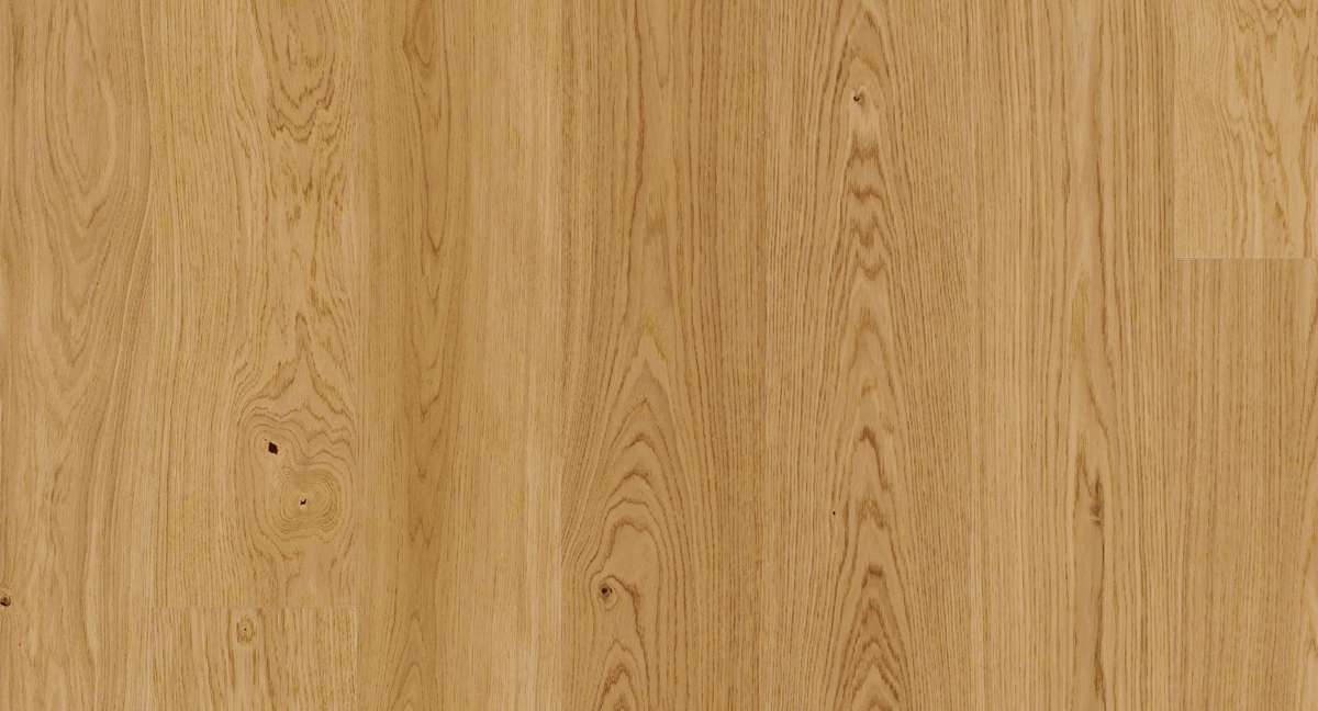 Parador Parkett Basic 11-5 Eiche Zoom