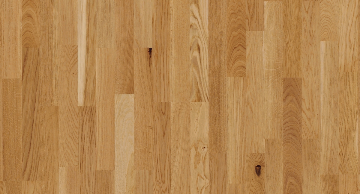 Parador Parkett Basic 11-5 Eiche Zoom