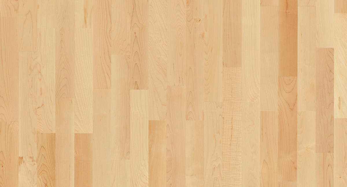 Parador Parkett Basic 11-5 Ahorn Kanadisch Zoom