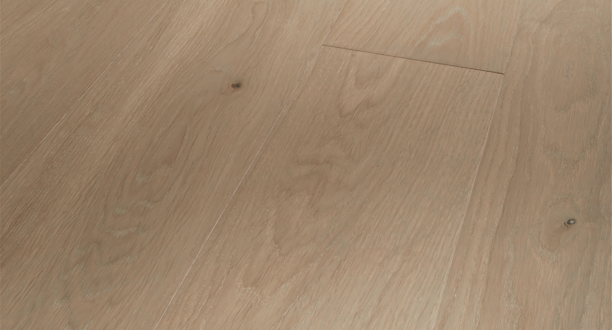 Parador Parkett Basic 11-5 Eiche Grey Zoom