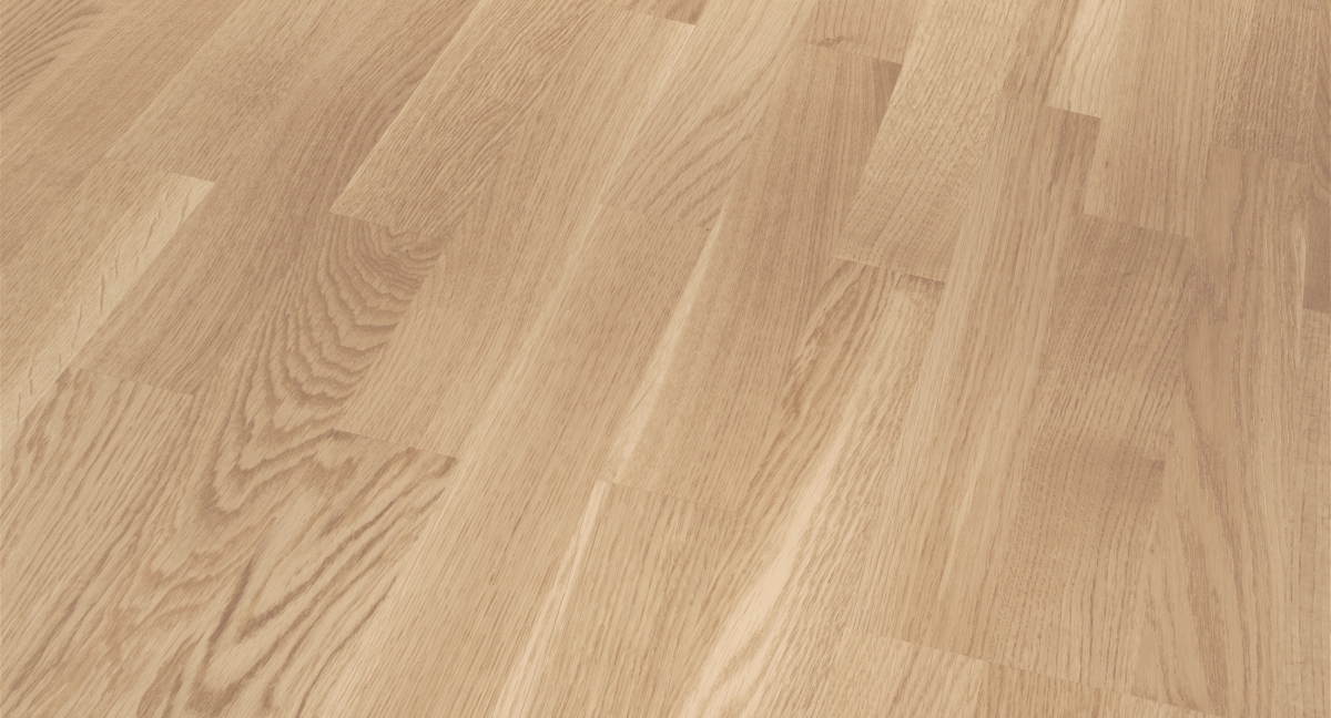 Parador Parkett Basic 11-5 Eiche Pure Zoom