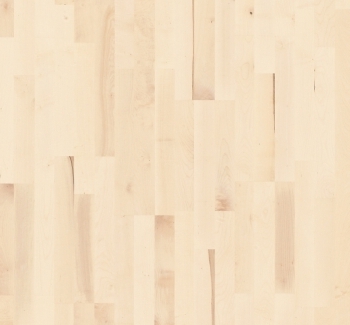 Parador Parkett Basic 11-5 Bergahorn Weiß Thumbnail