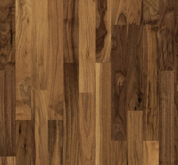 Parador Parkett Basic 11-5 Walnuss Thumbnail