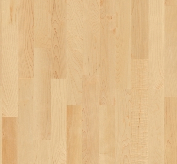 Parador Parkett Basic 11-5 Ahorn Kanadisch Thumbnail