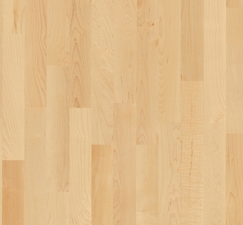 Parador Parkett Basic 11-5 Ahorn Kanadisch Thumbnail