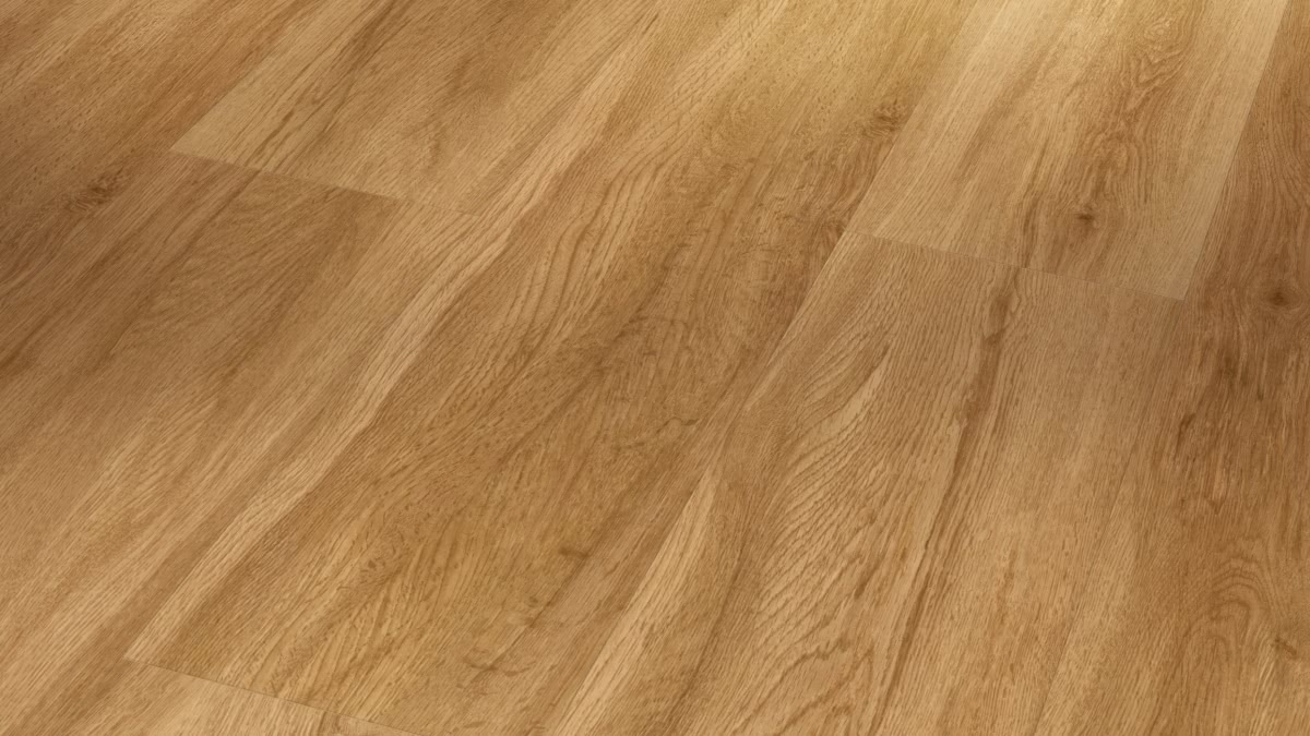 Parador Klebe-Vinyl Basic 2.0 Eiche Sierra natur Zoom Parador Klebe-Vinyl Basic 2.0 Eiche Sierra natur Zoom