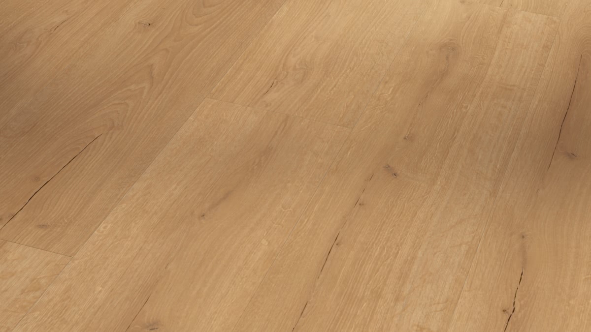 Parador Klebe-Vinyl Basic 2.0 Eiche Infinity natur Zoom Parador Klebe-Vinyl Basic 2.0 Eiche Infinity natur Zoom
