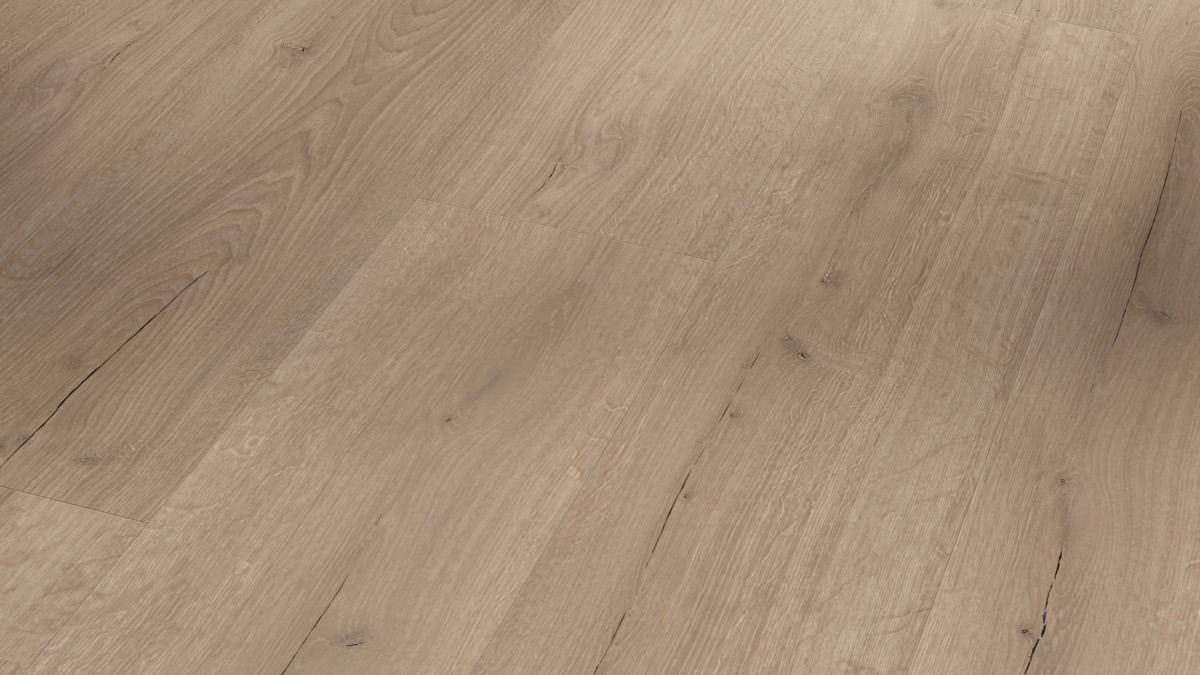 Parador Klebe-Vinyl Basic 2.0 Eiche Infinity grau Zoom Parador Klebe-Vinyl Basic 2.0 Eiche Infinity grau Zoom