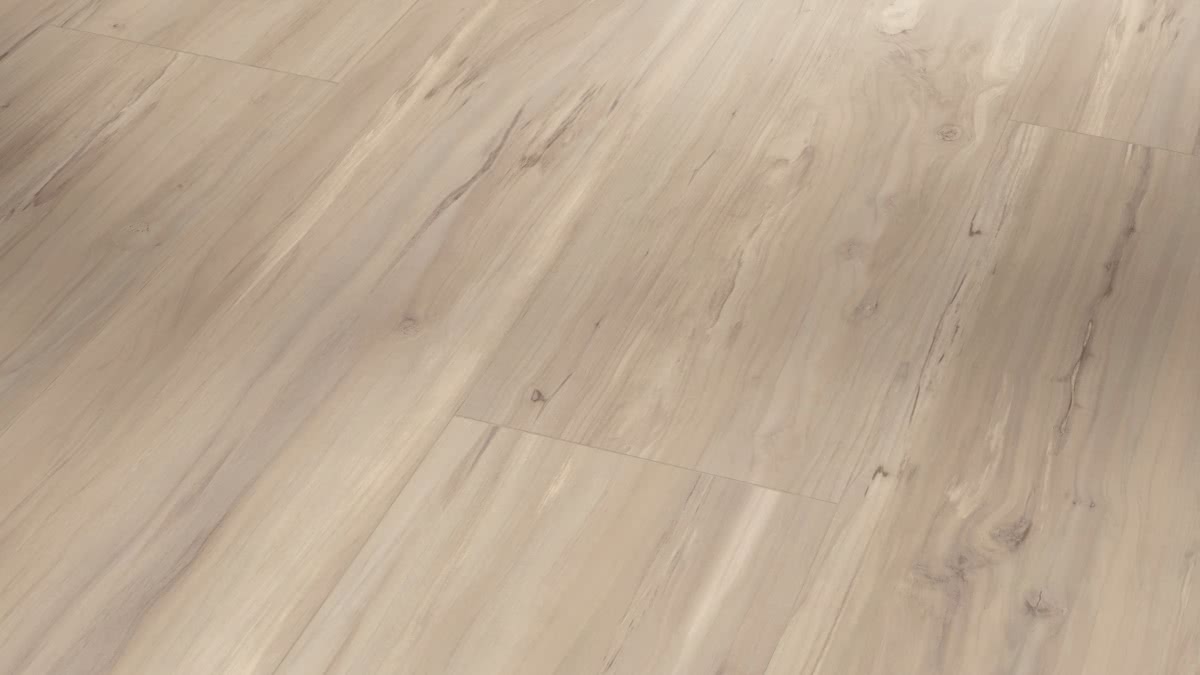 Parador Vinyl Basic 20 Wildapfel Gebleicht Zoom Parador Vinyl Basic 20 Wildapfel Gebleicht Zoom