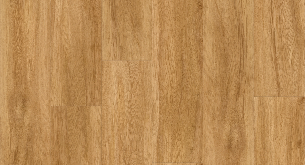 Parador Vinyl Basic 30 Eiche Sierra Natur Zoom Parador Vinyl Basic 30 Eiche Sierra Natur Zoom